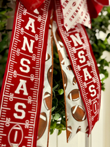 Arkansas Razorbacks Football Bow
